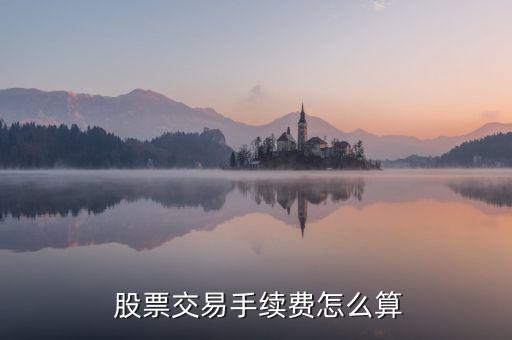 買股票費(fèi)用怎么算,股票交易費(fèi)用包括手續(xù)費(fèi)、過戶費(fèi)和傭金