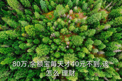 80萬,余額寶每天才40元不到,該怎么 理財