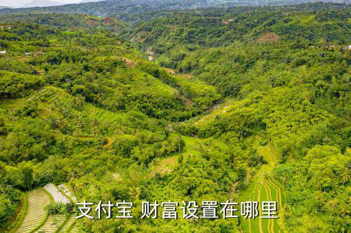  支付寶 財(cái)富設(shè)置在哪里
