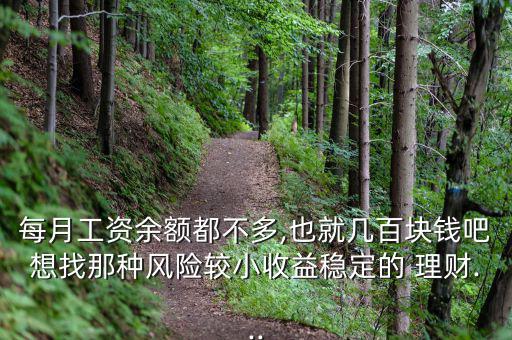 每月工資余額都不多,也就幾百塊錢吧想找那種風險較小收益穩(wěn)定的 理財...