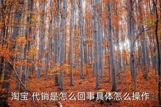 天貓代銷怎么樣,淘寶貨源代理銷售有何優(yōu)勢(shì)和弊端?