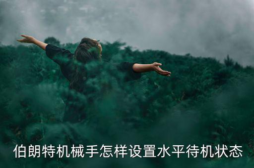  伯朗特機械手怎樣設置水平待機狀態(tài)