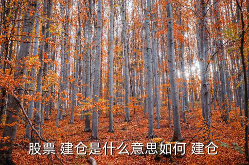 怎么建倉,股票做市商建倉:先尋找目標(biāo)股票再分批買入