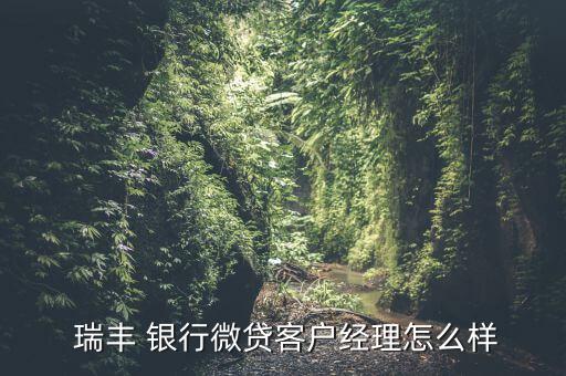  瑞豐 銀行微貸客戶經理怎么樣