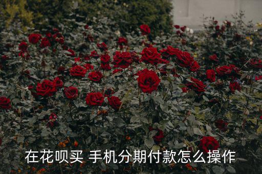 螞蟻花唄怎么分期買(mǎi)手機(jī),如何在花唄分期購(gòu)買(mǎi)手機(jī)?