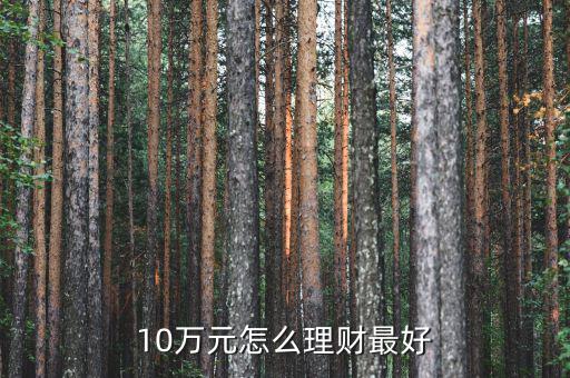 10萬(wàn)元怎么投資,投資10萬(wàn)元有什么好方法?