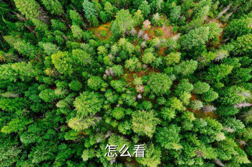 怎么拿灰色收入,兩會首次提出取締違法收入報(bào)關(guān)員證拿不到錢