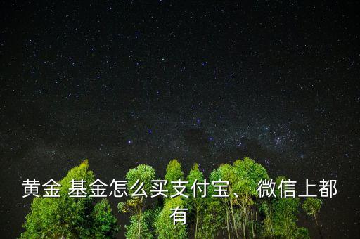 黃金 基金怎么買支付寶、 微信上都有