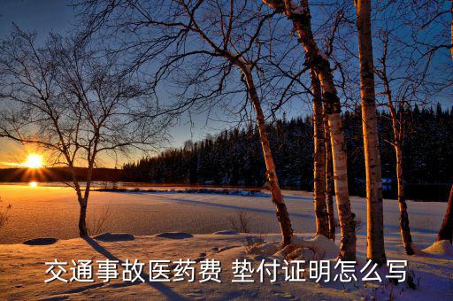 交通事故醫(yī)藥費 墊付證明怎么寫