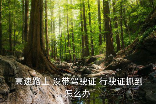 上高速時(shí)沒帶行駛證怎么辦,無(wú)證駕駛可視為無(wú)照駕駛一次記1分