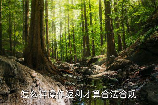 怎么樣操作返利才算合法合規(guī)