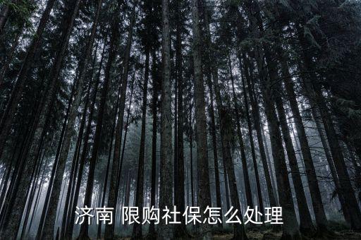 滬籍被限購(gòu)了怎么辦,非本地戶(hù)籍家庭限購(gòu)套住房須滿(mǎn)24個(gè)月