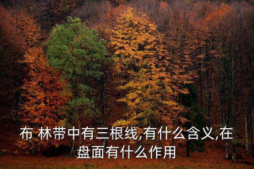 布林帶怎么畫,布林帶指標或boll指標參數(shù)最好設置為20