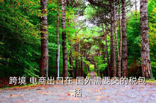 國(guó)外對(duì)電商怎么征稅,我國(guó)將從今天起開(kāi)始征收消費(fèi)稅和進(jìn)口稅