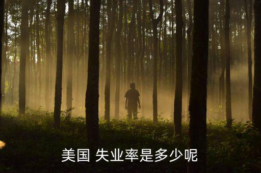 美國失業(yè)率怎么算,白宮經濟顧問預測美國失業(yè)率將達20%