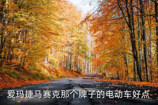 愛瑪捷馬賽克那個(gè)牌子的電動(dòng)車好點(diǎn)