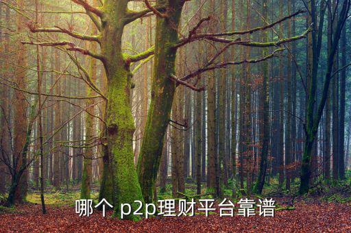 哪個(gè) p2p理財(cái)平臺(tái)靠譜