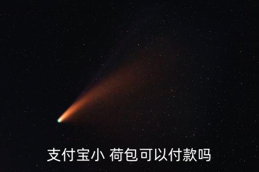 支付寶小 荷包可以付款嗎