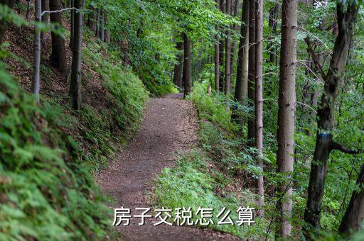  房子交稅怎么算