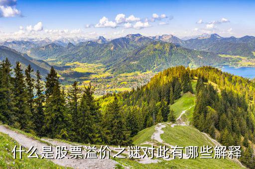 股票溢價(jià)是什么意思，什么是股票溢價(jià)之謎對(duì)此有哪些解釋