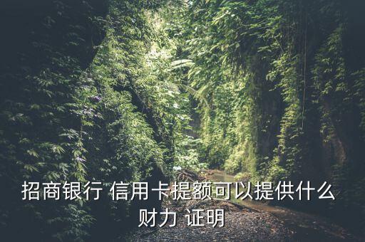 招商銀行 信用卡提額可以提供什么 財力 證明