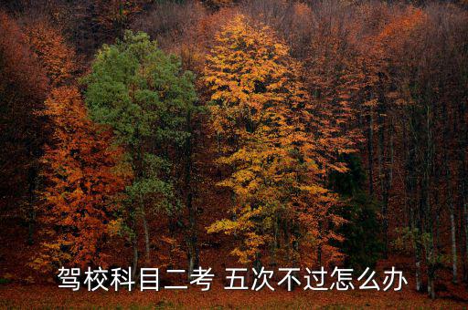駕?？颇慷?五次不過怎么辦