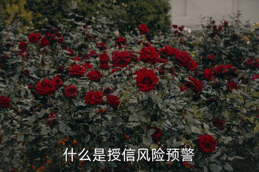 什么是授信風(fēng)險預(yù)警