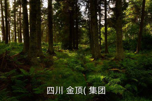 金頂集團(tuán)怎么樣,四川金頂集團(tuán)股東梁海轉(zhuǎn)讓股權(quán)價(jià)格沒溢價(jià)