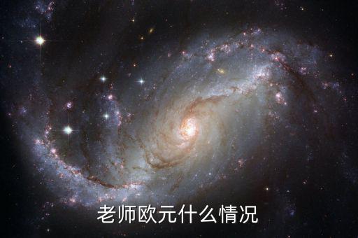 歐元國(guó)家是什么意思，老師歐元什么情況