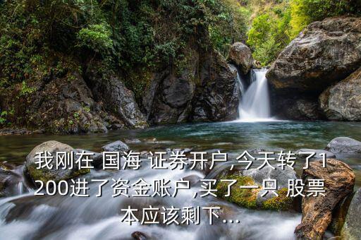 我剛在 國海 證券開戶,今天轉了1200進了資金賬戶,買了一只 股票本應該剩下...