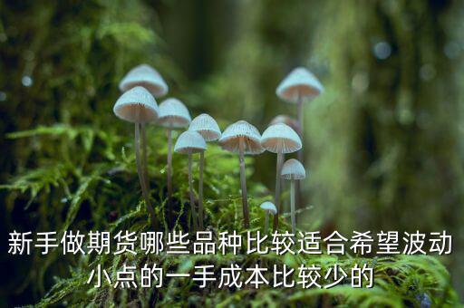 兩萬(wàn)能做期貨什么品種，我用兩萬(wàn)做商品期貨