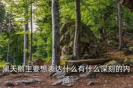 黑天鵝書說的是什么，黑天鵝主要想表達(dá)什么有什么深刻的內(nèi)涵