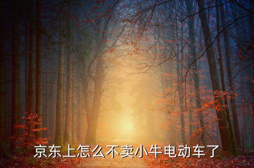 京東什么時(shí)候開放小牛，京東上怎么不賣小牛電動(dòng)車了
