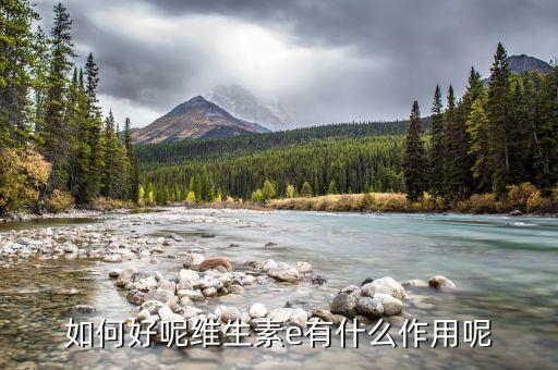 東風科技怎么樣,純天然維生素e可預(yù)防妊娠紋?
