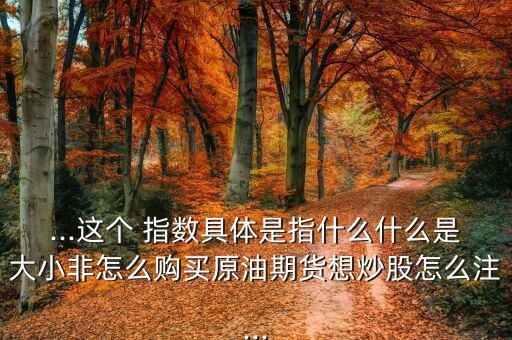 ...這個(gè) 指數(shù)具體是指什么什么是大小非怎么購(gòu)買原油期貨想炒股怎么注...