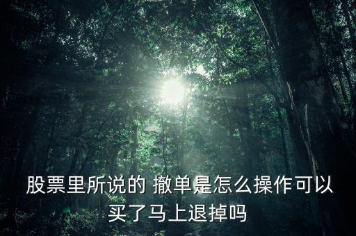  股票里所說的 撤單是怎么操作可以買了馬上退掉嗎
