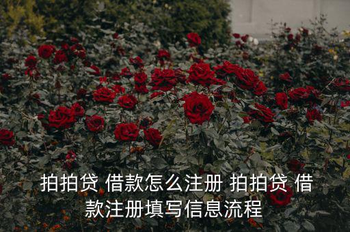 拍拍貸借款標(biāo)題怎么寫(xiě),如何注冊(cè)拍拍loan借款?