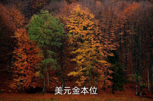 金本位什么時(shí)候，金本位制度是什么時(shí)候取消的