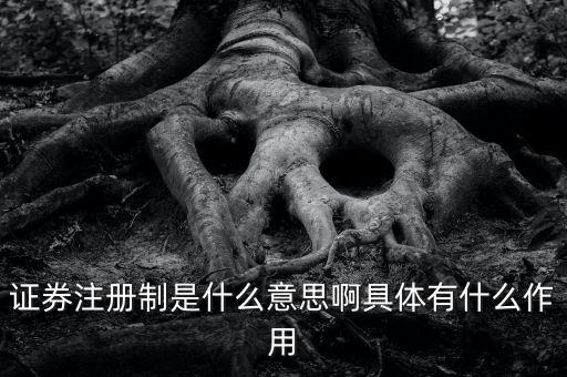 證券注冊(cè)制什么意思，證券注冊(cè)制是什么意思啊具體有什么作用