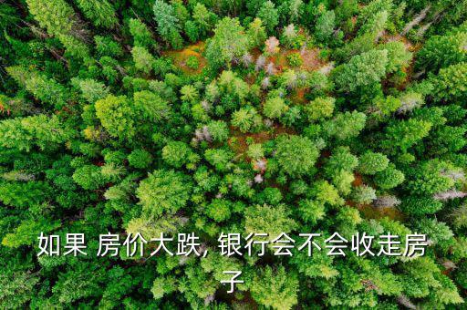 東北房價下跌銀行怎么辦,是否按時還月供銀行無權拿走你的房子