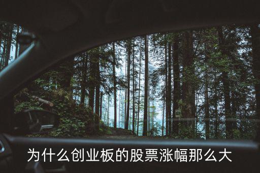 創(chuàng)業(yè)板為什么暴漲，為什么創(chuàng)業(yè)板一漲大盤就上漲