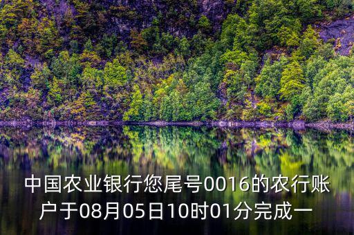 農(nóng)行國(guó)壽付是什么，農(nóng)行多了一筆國(guó)壽付交易是什么意思