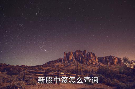  新股中簽怎么查詢(xún)