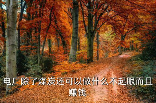 電廠什么項(xiàng)目賺錢，電廠除了煤炭還可以做什么不起眼而且賺錢