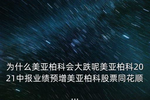 美亞桕科怎么停盤了呢,網(wǎng)絡(luò)安全優(yōu)質(zhì)企業(yè)美亞貝克正式成立