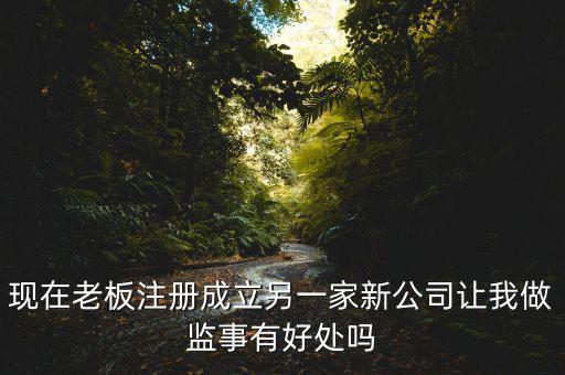 上市公司做監(jiān)事有什么好處，現(xiàn)在老板注冊成立另一家新公司讓我做監(jiān)事有好處嗎