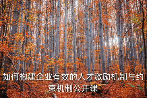 財務(wù)激勵與約束機(jī)制的設(shè)計原則是什么，財務(wù)激勵約束機(jī)制的概念是什么