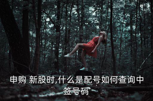 申購(gòu) 新股時(shí),什么是配號(hào)如何查詢(xún)中簽號(hào)碼