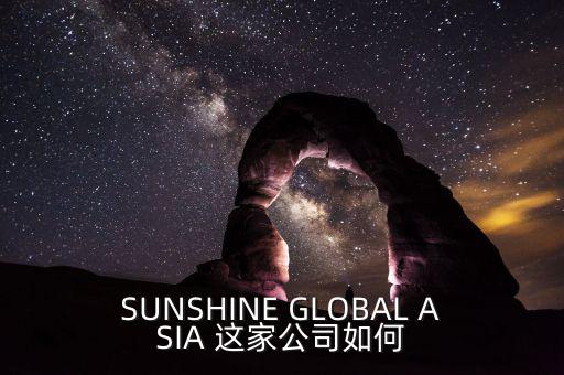 永信亞洲有限公司主要業(yè)務(wù)是什么，SUNSHINE GLOBAL ASIA 這家公司如何