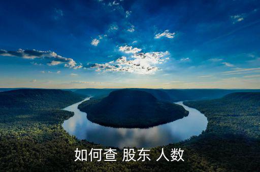 怎么樣查最近的股東持股人數(shù),股東出席股東會(huì)議享有表決權(quán)